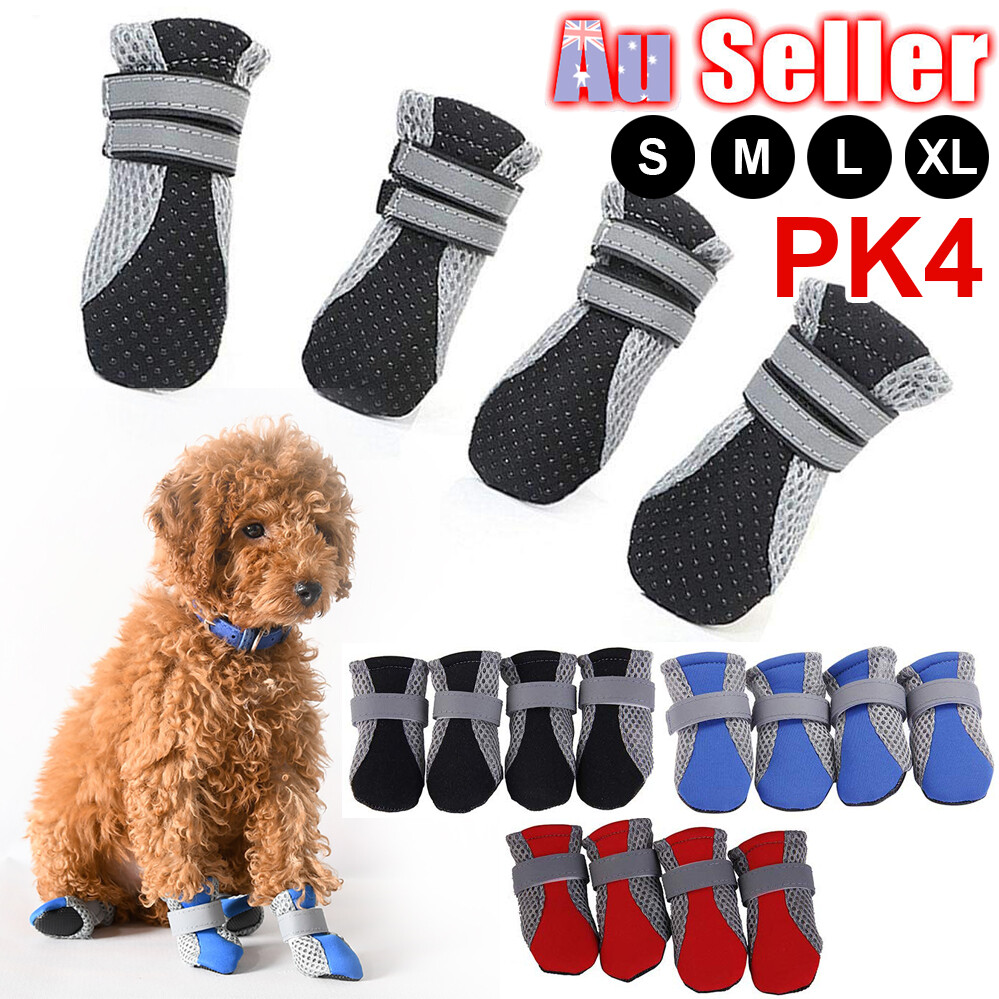 small dog boots